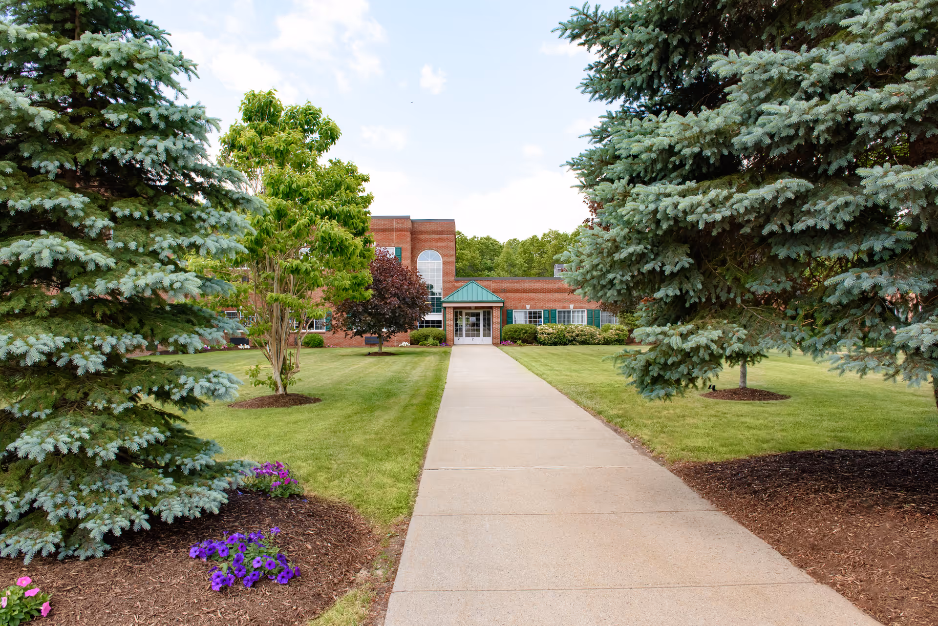 Photo of Life Care Center of Auburn