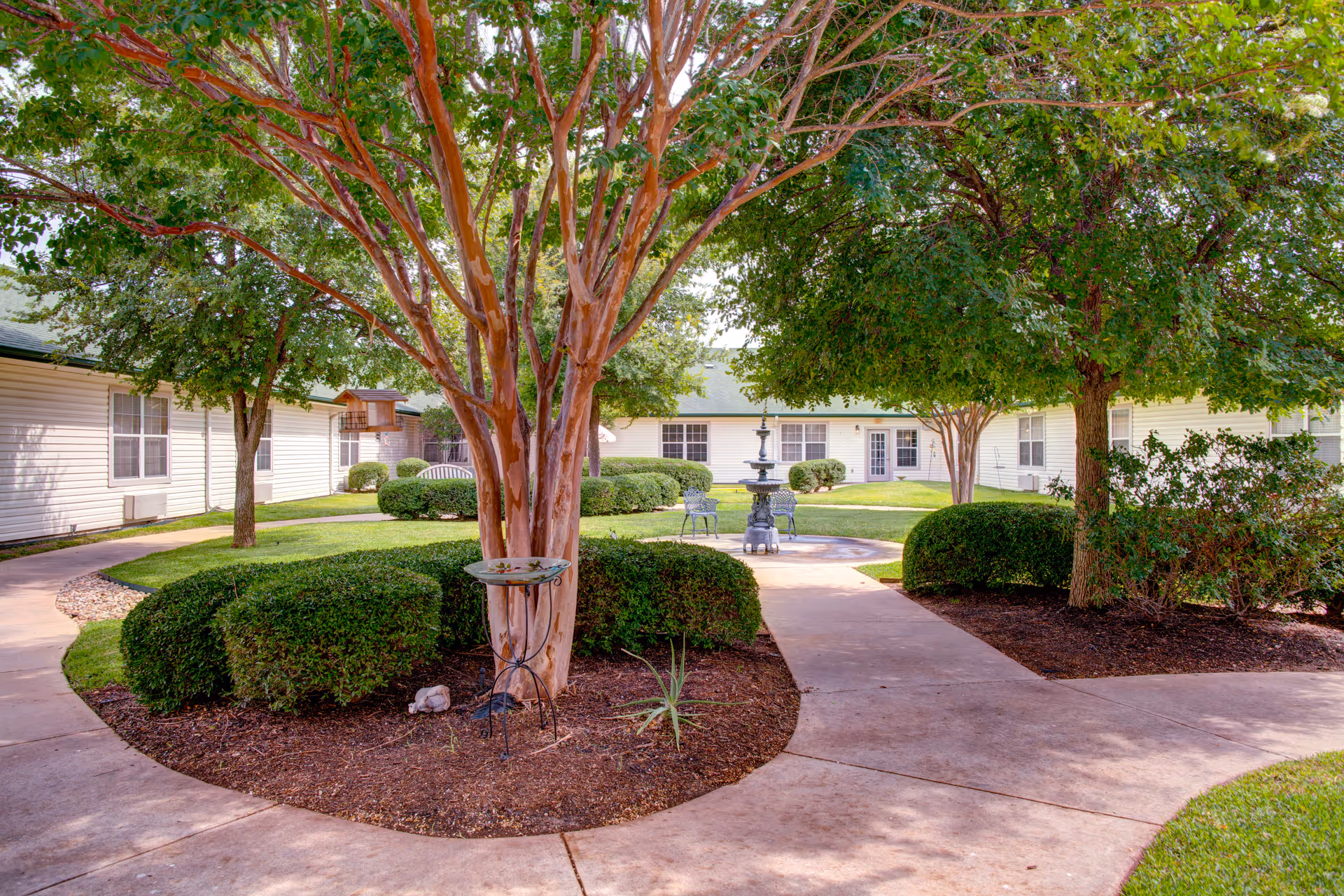 Photo 5 of The Pointe at Cedar Park