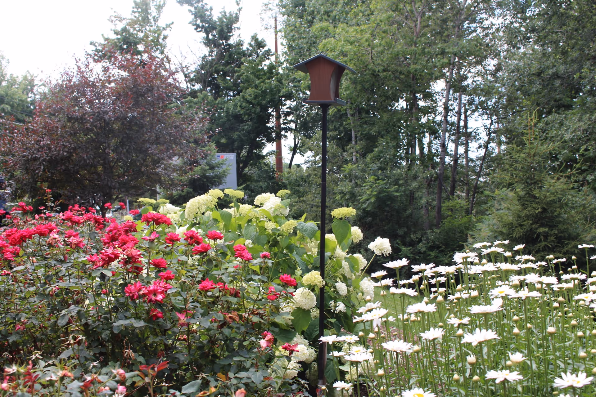 Photo 9 of The Pines Senior Living