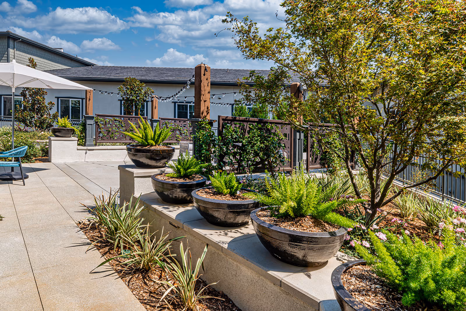 Photo 8 of Allara Senior Living