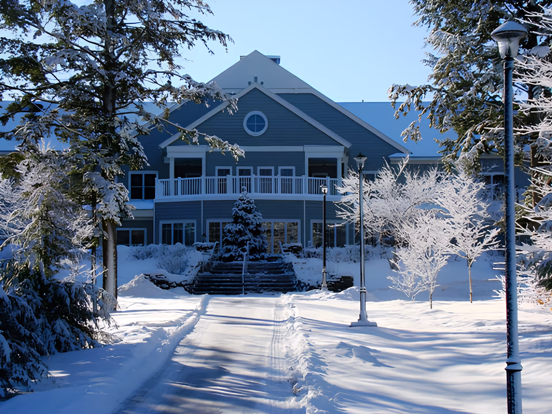 Photo 3 of Dirigo Pines