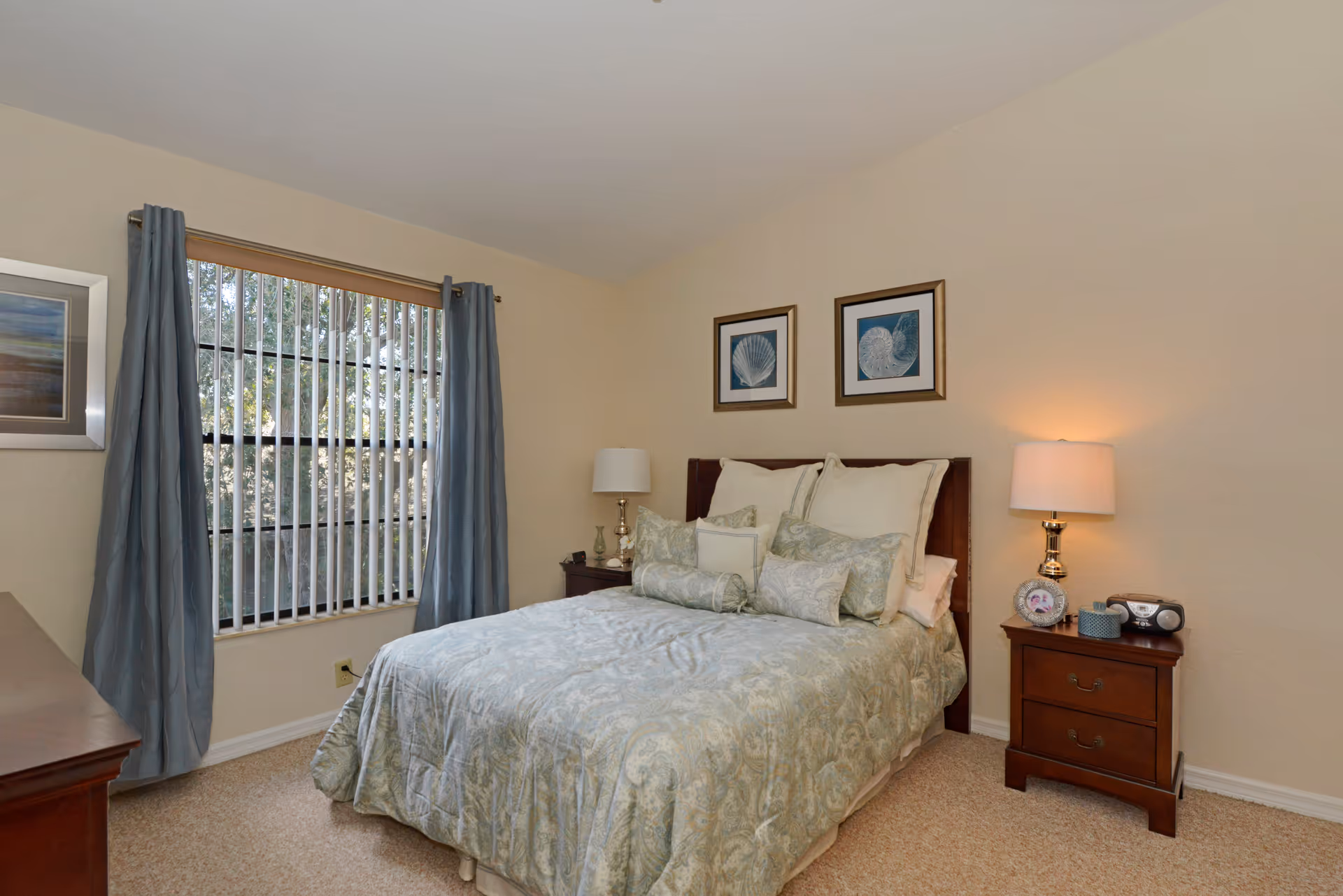 Photo 16 of Brookdale New Port Richey