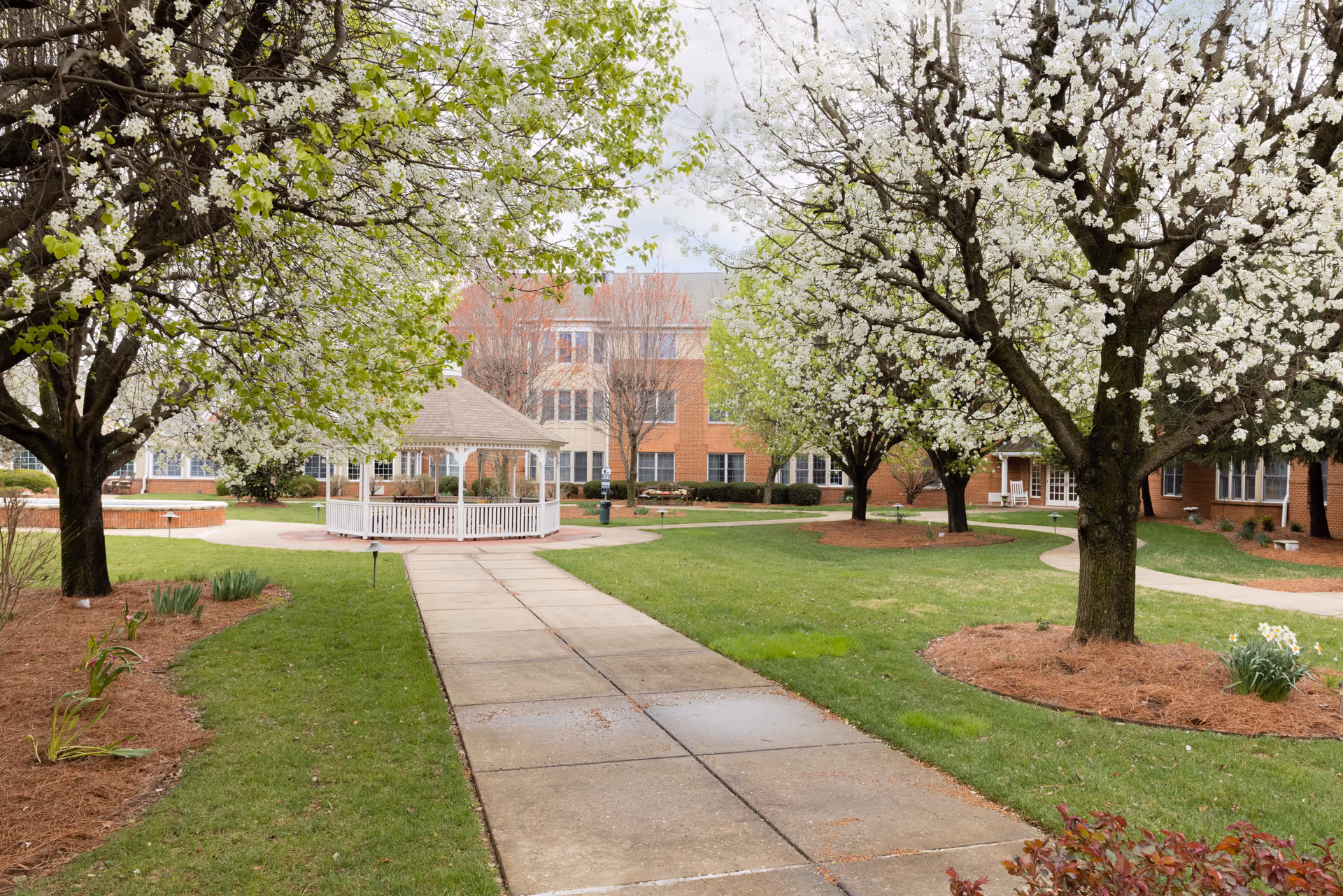 Photo 5 of Village Manor