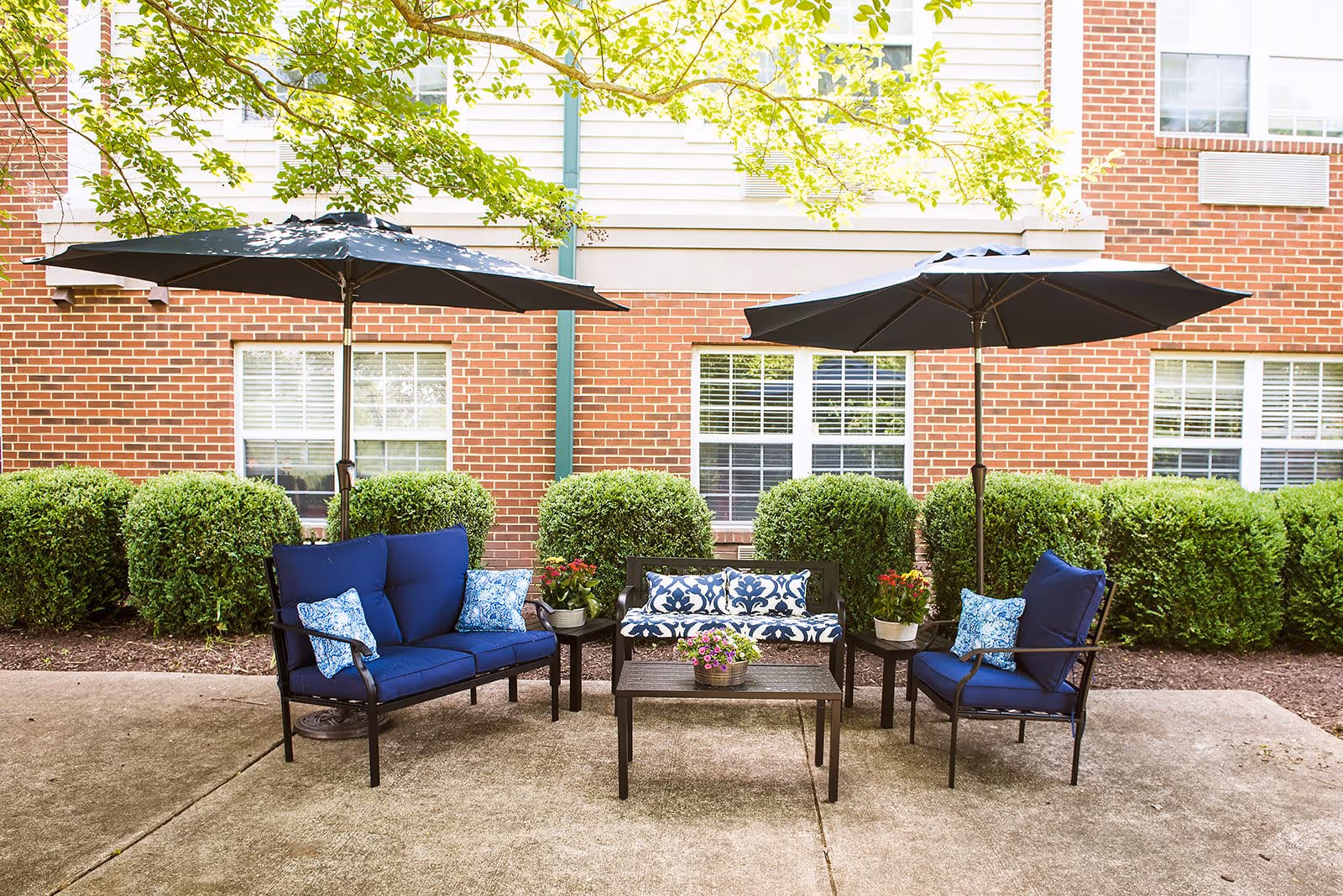 Photo 7 of Commonwealth Senior Living at Stafford