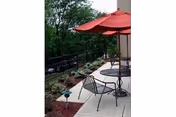 Photo 14 of Elan Skilled Nursing and Rehab