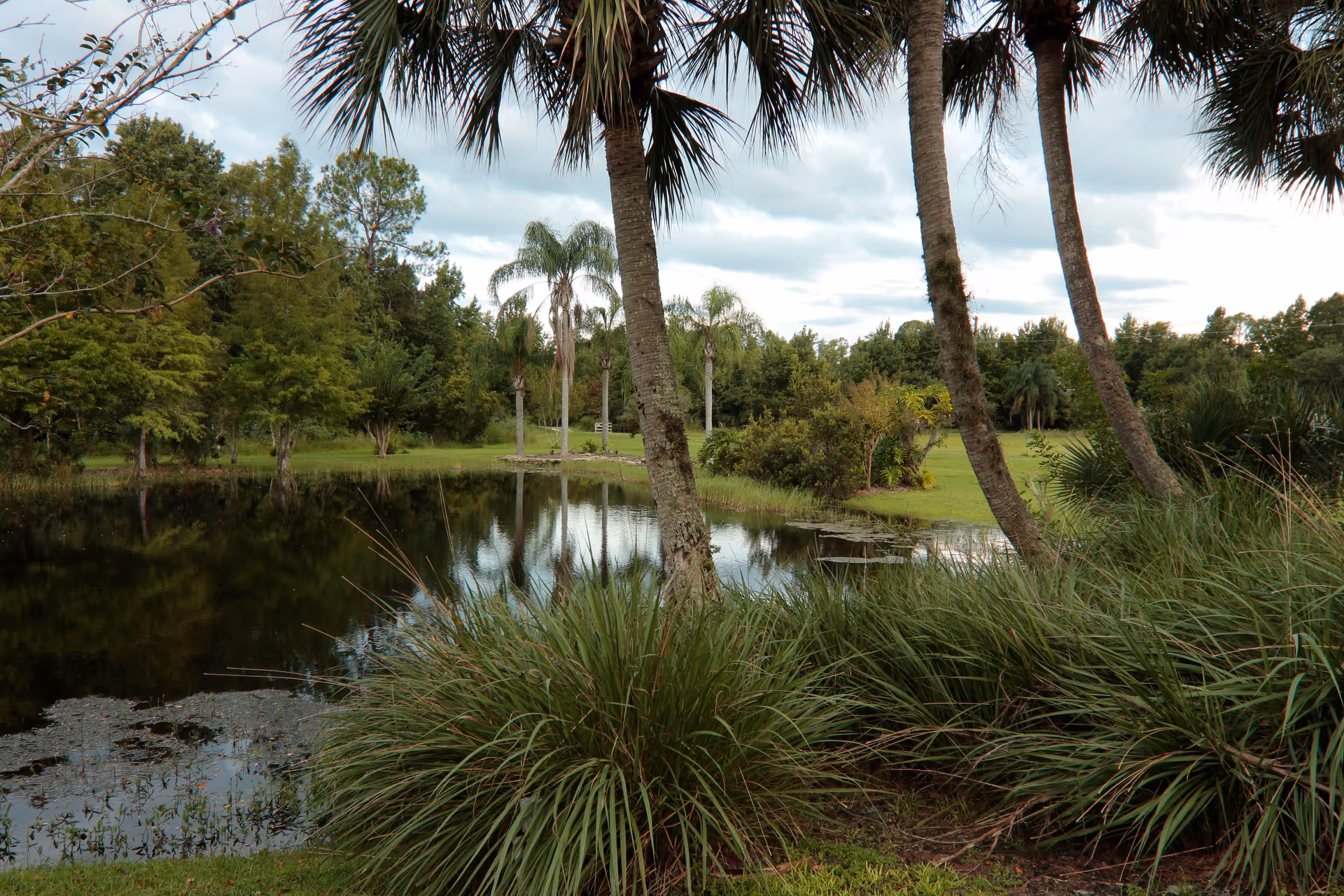 Photo 13 of Foxtail Lodge