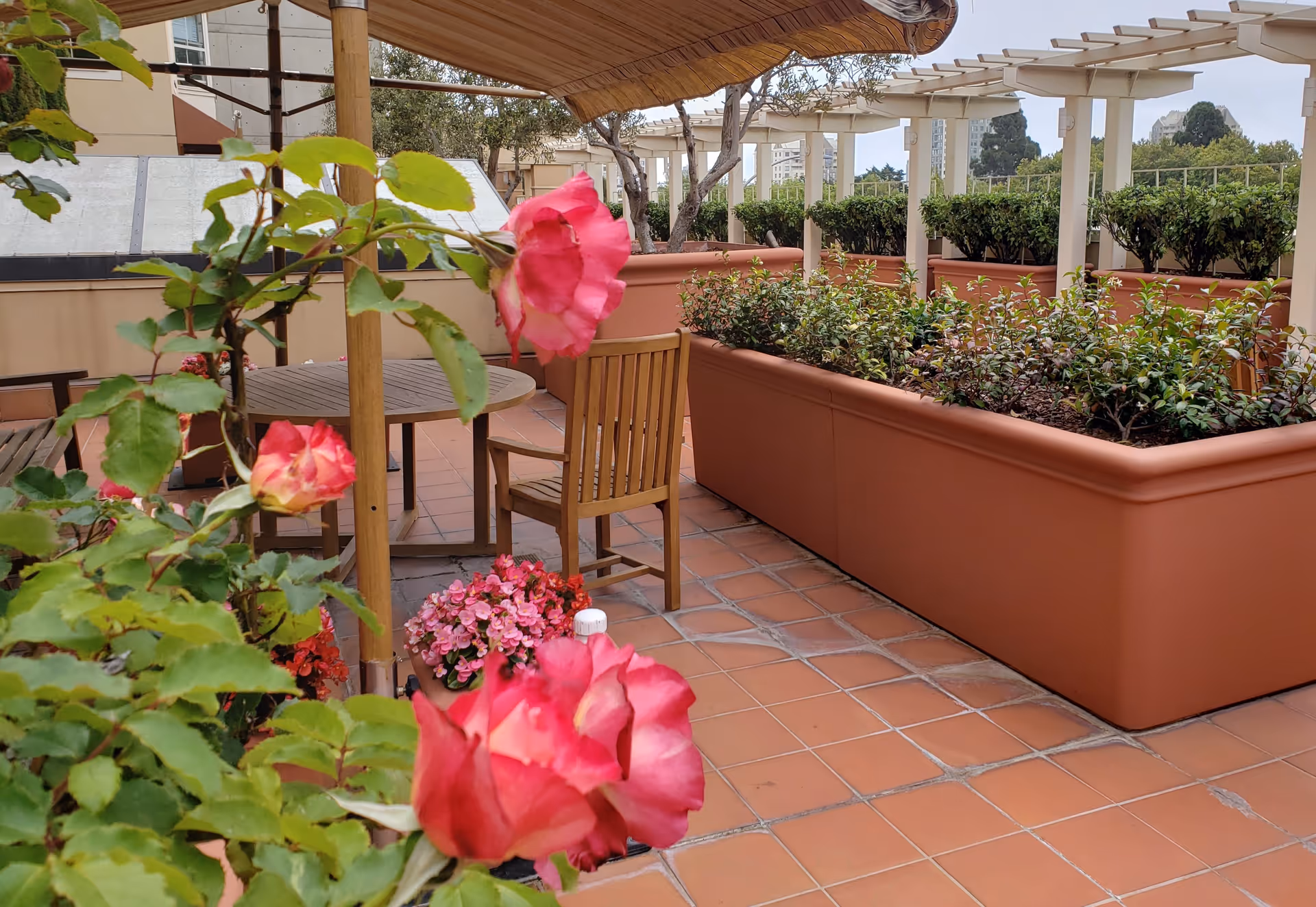 Photo 4 of Rhoda Goldman Plaza - San Francisco Assisted Living & Memory Care