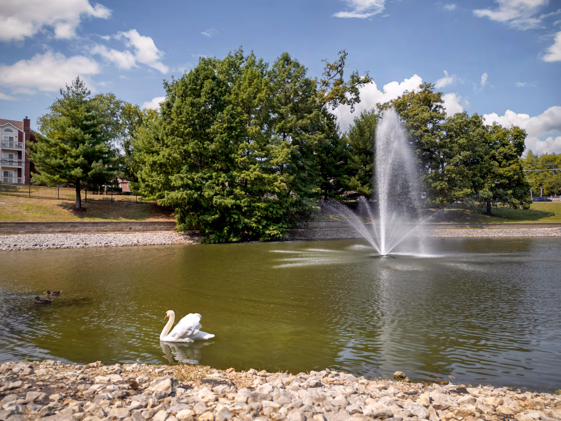 Photo 10 of Brookdale Creve Coeur