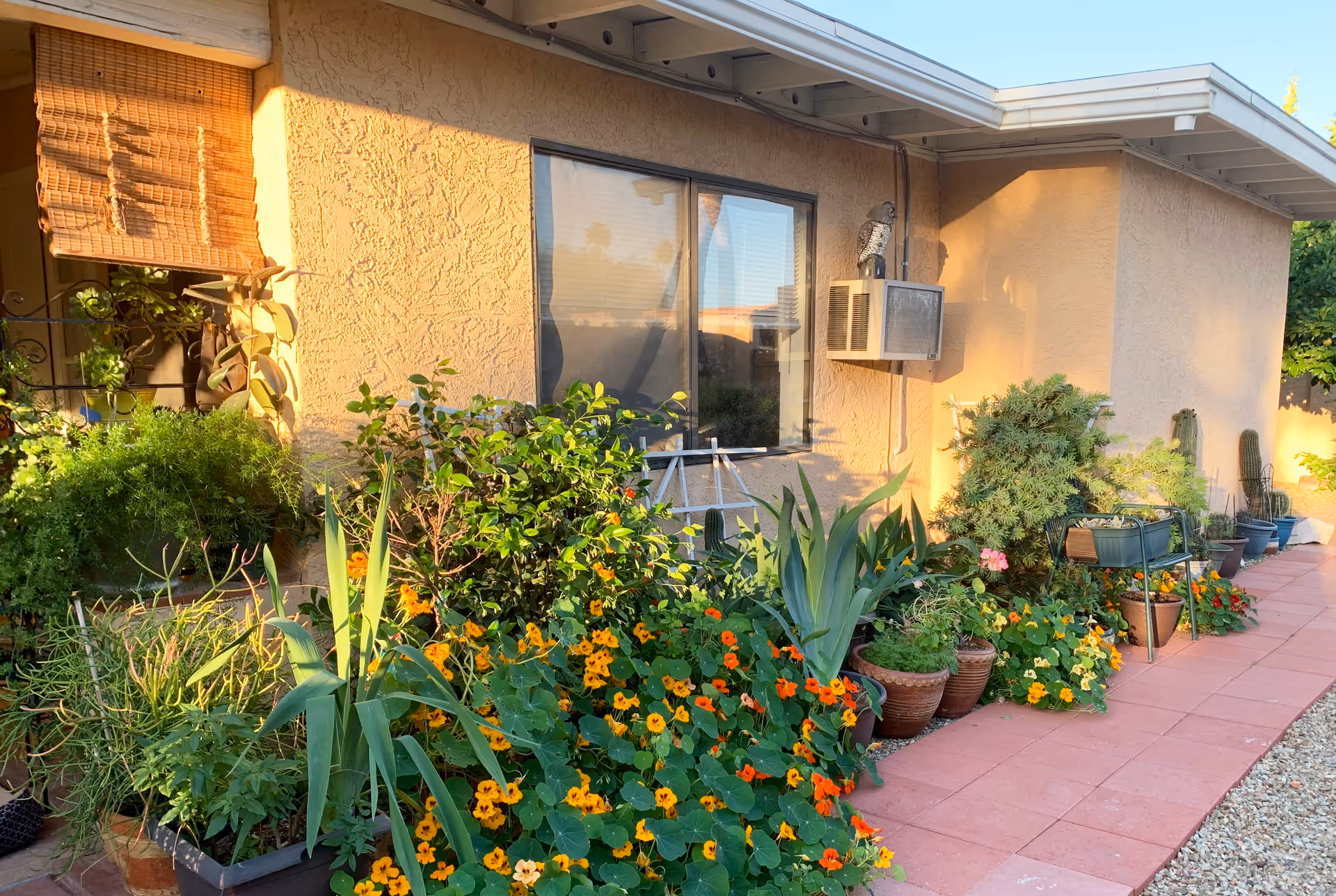 Photo 6 of Leti’s Home At Scottsdale