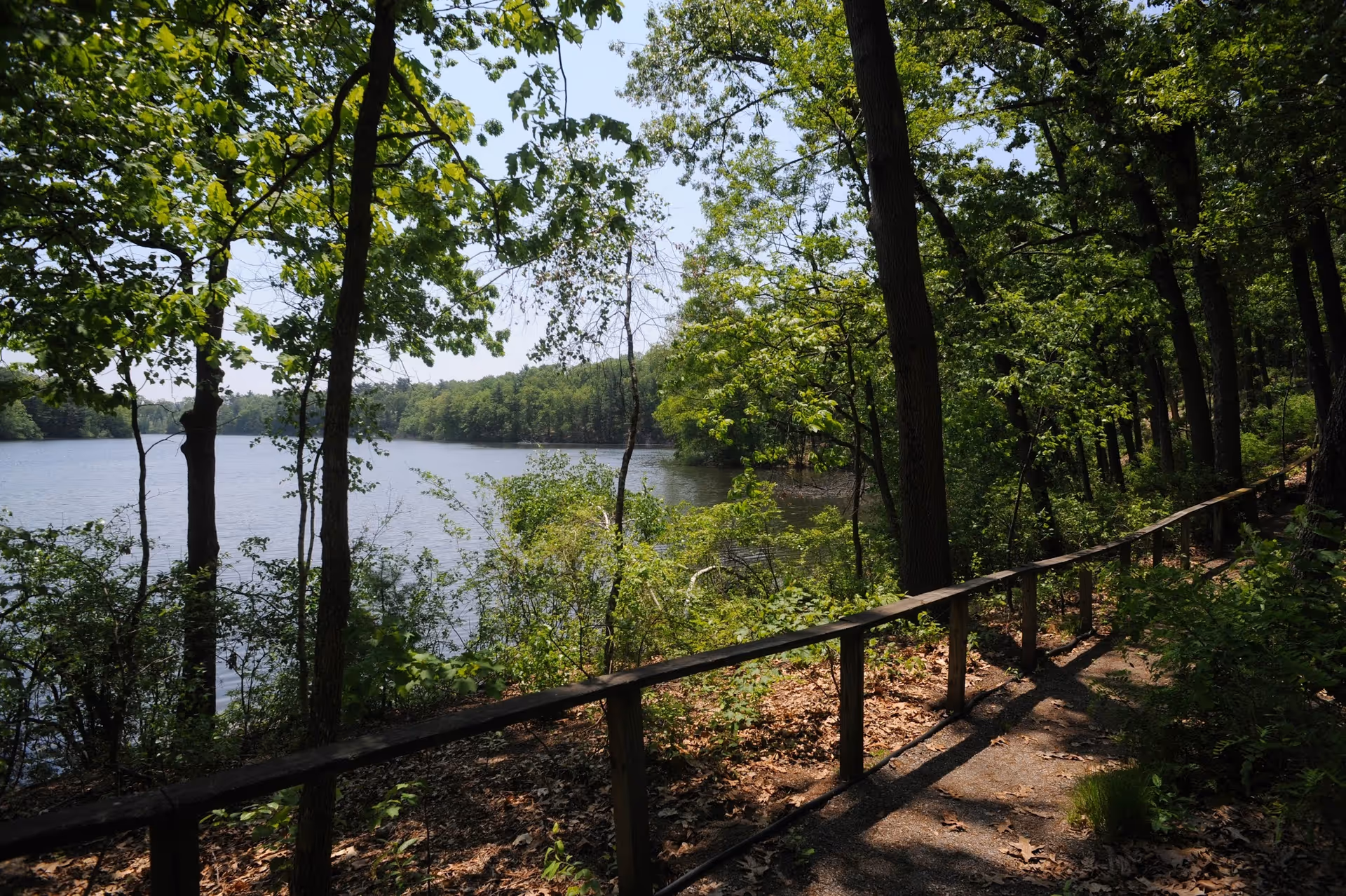 Photo of Loomis Lakeside at Reeds Landing in Springfield