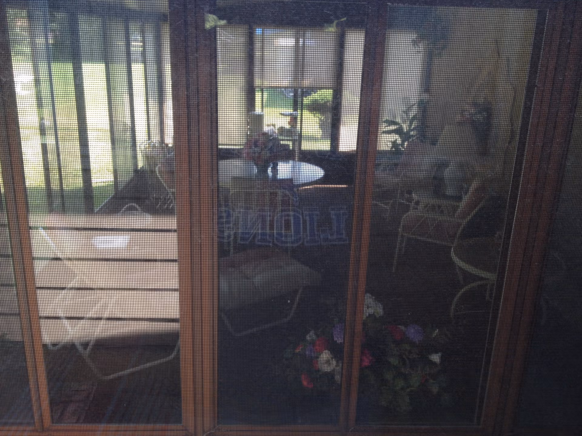 Photo 7 of Granny's Place
