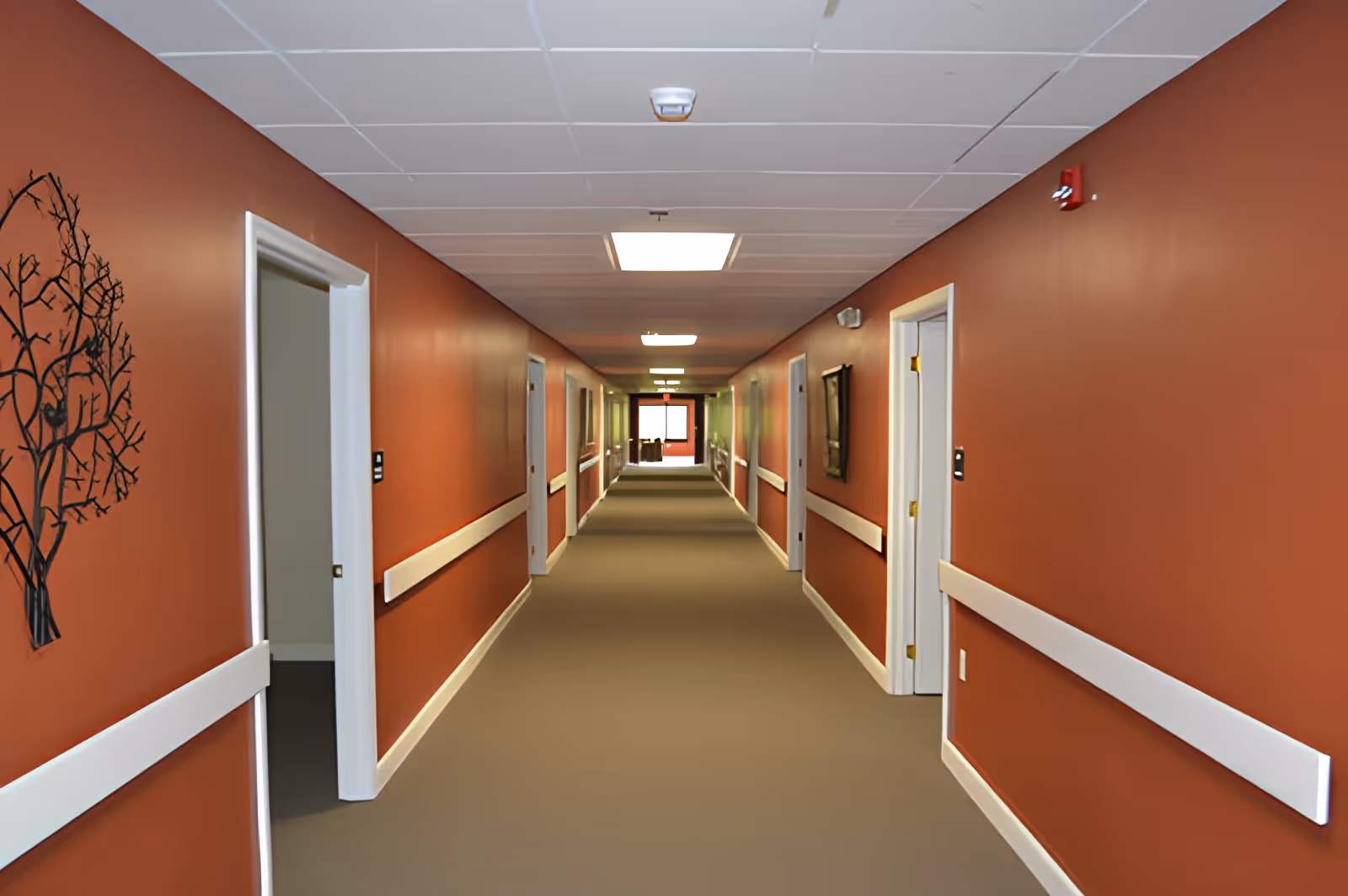 Photo 4 of Dogwood Crossing Senior Living And Memory Care