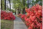 Photo 13 of The Columbia Presbyterian Community