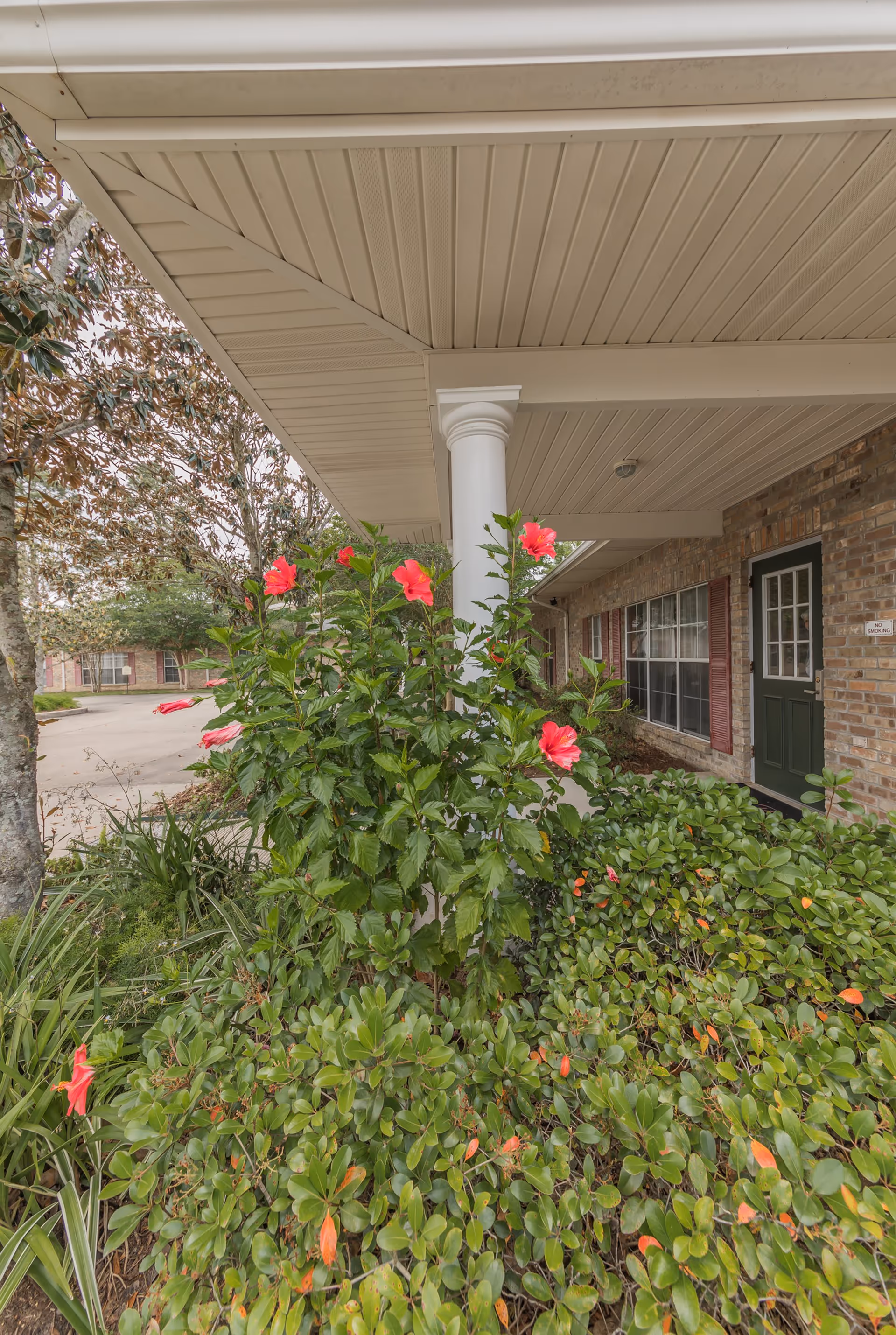 Photo 4 of Rosewood Assisted Living