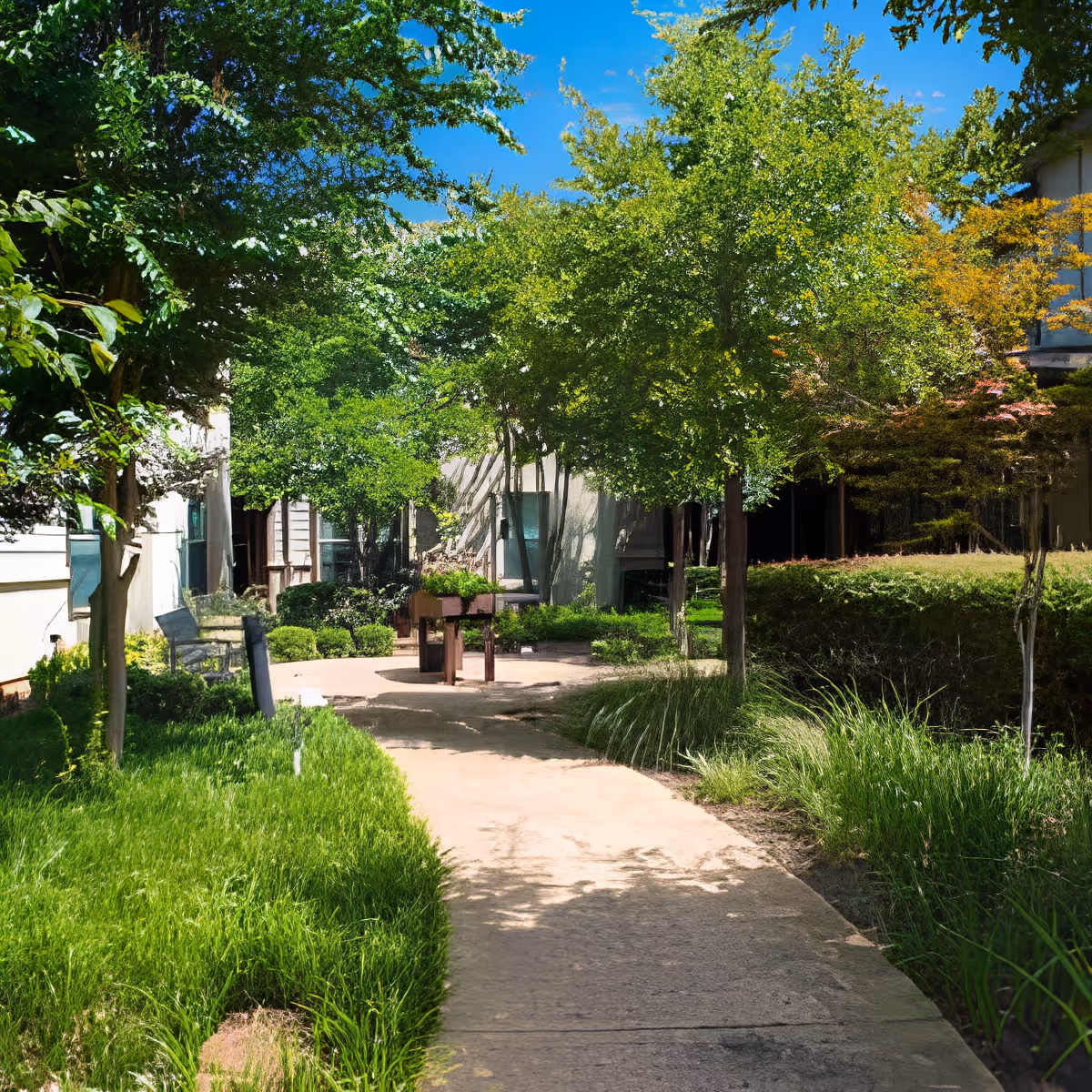 Photo 15 of Discovery Village At Southlake