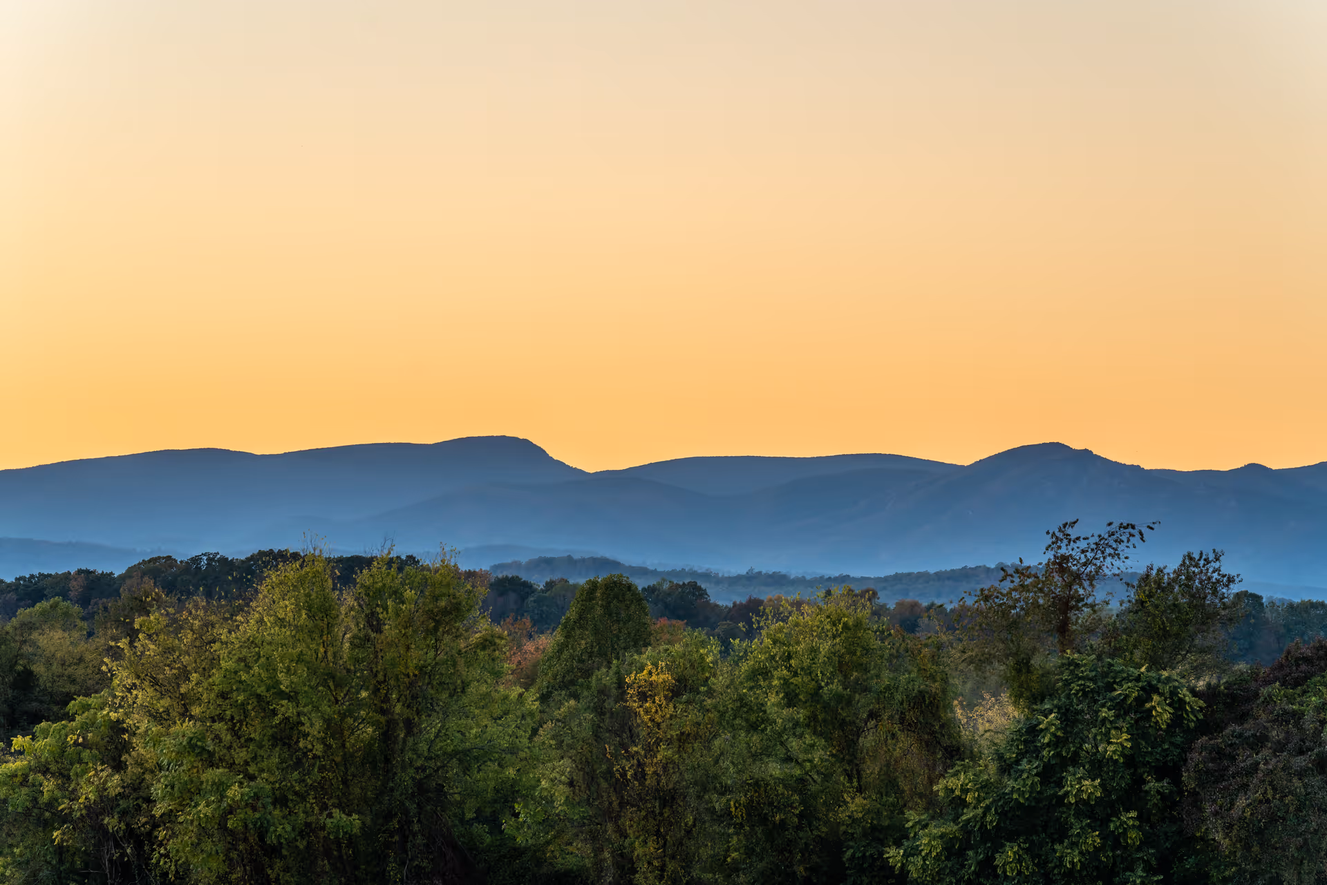 Photo 11 of The Culpeper