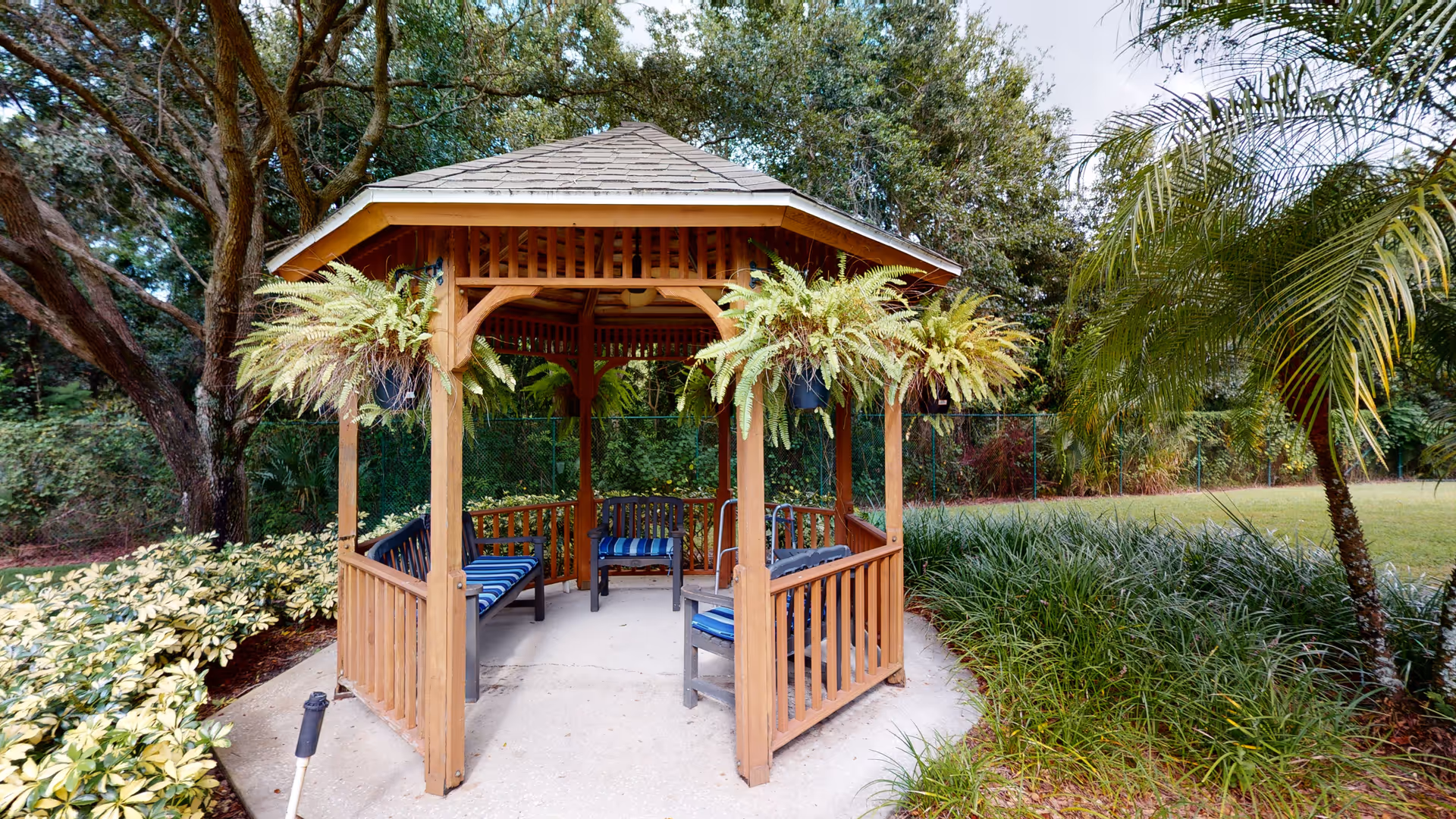 Photo 5 of Arden Courts - ProMedica Memory Care Community (Palm Harbor)