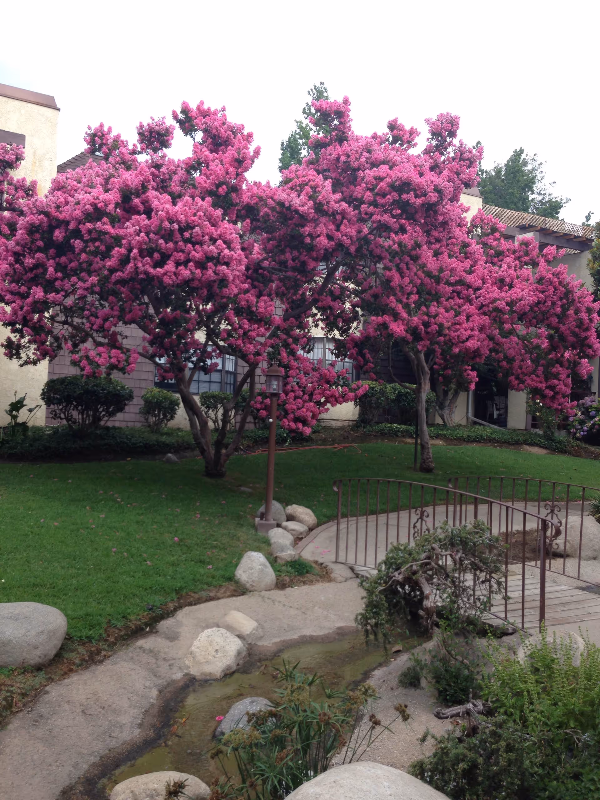 Photo 25 of Oaks of Pasadena