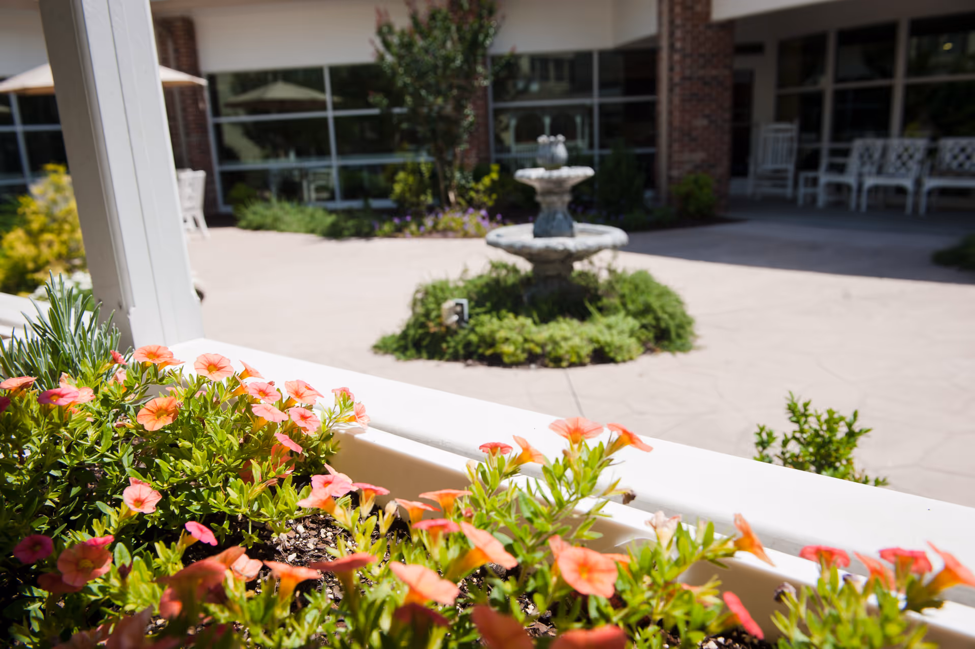 Photo 11 of Commonwealth Senior Living at Leigh Hall