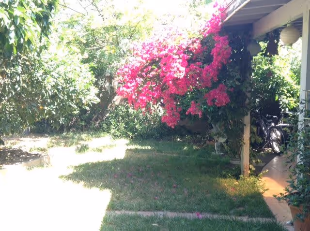 Photo 13 of Seniors' Haven