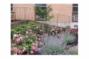 Photo 14 of Allied Services Meade Street Skilled Nursing