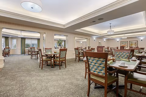Photo 3 of Vitality Living Franklin