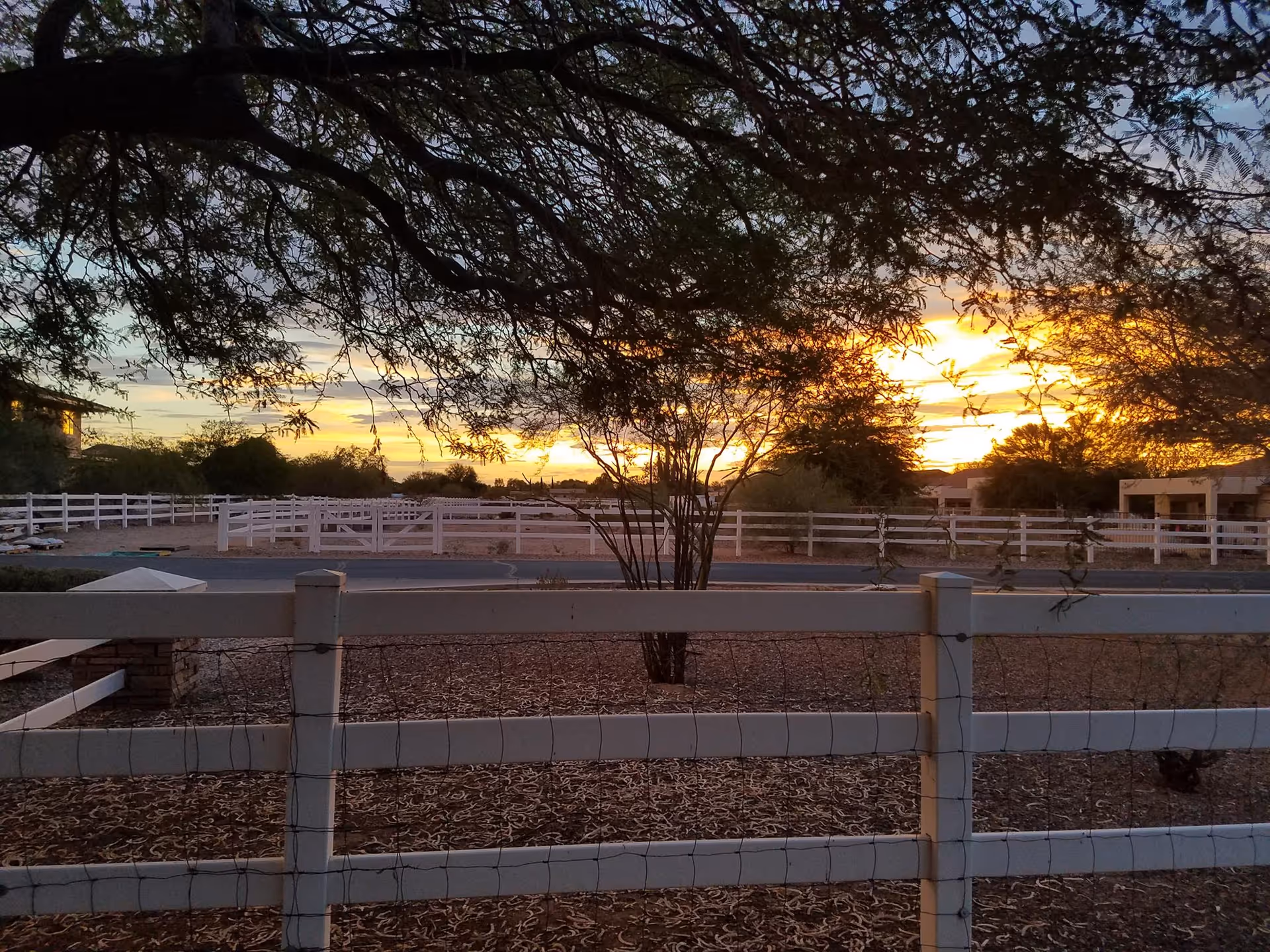 Photo 2 of Arizona Sunset Assisted Living