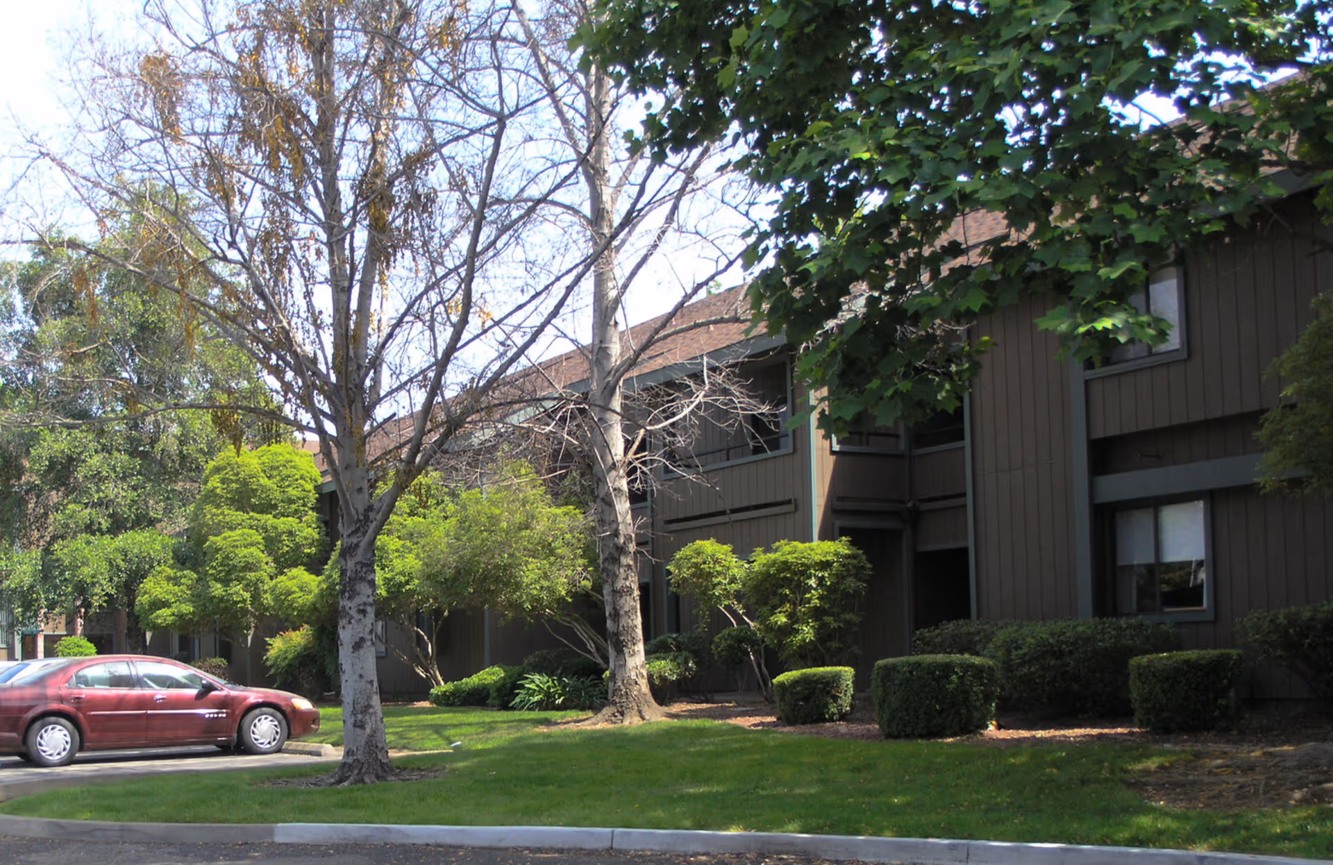 Photo 5 of The Atrium Of Carmichael