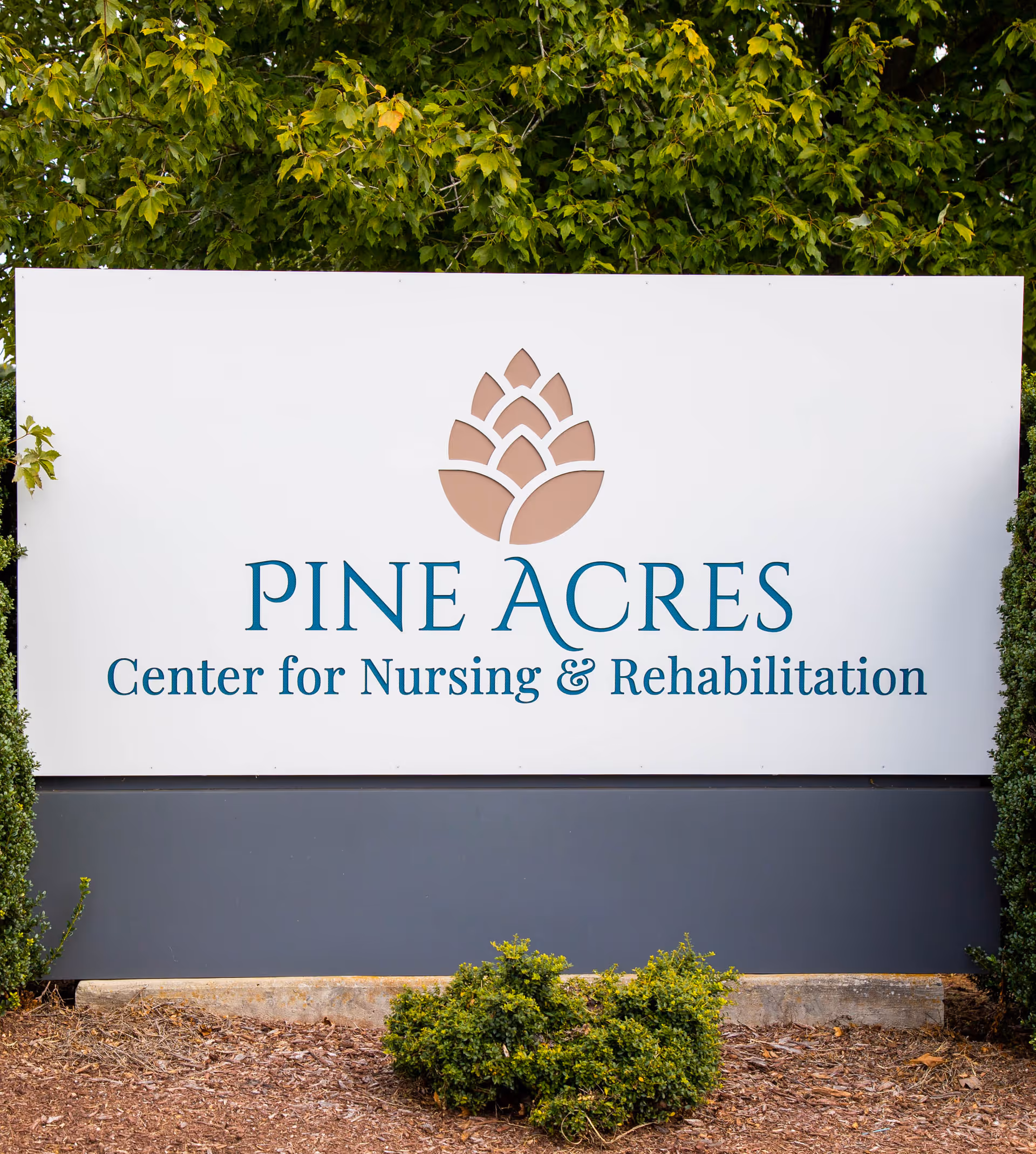 Photo of Pine Acres Center for Nursing and Rehabilitation