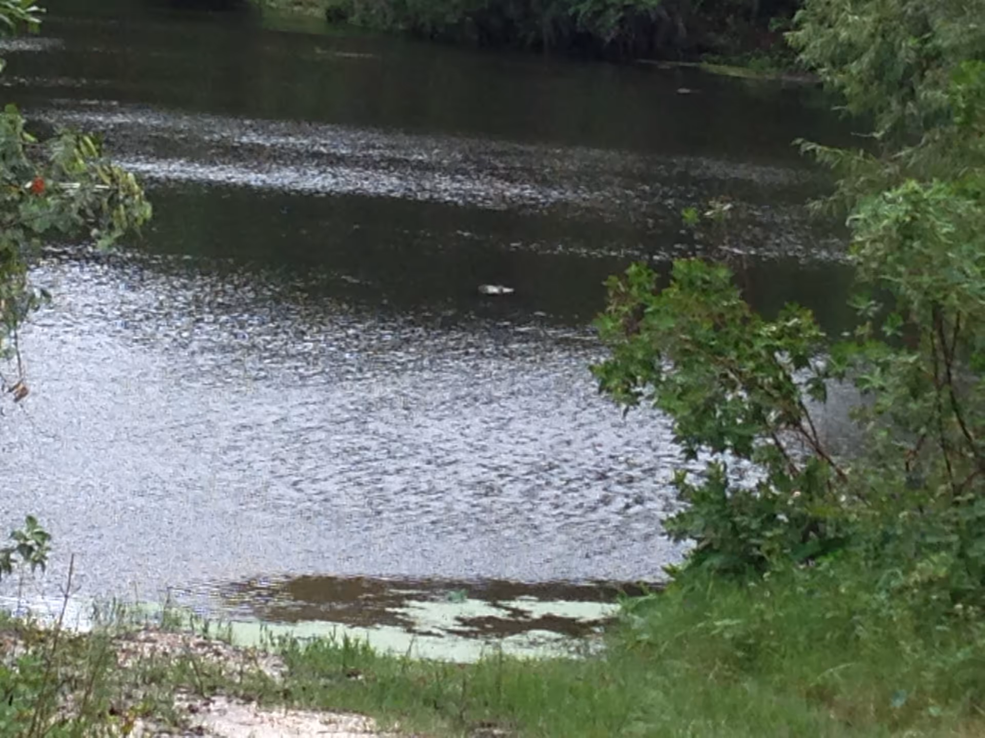 Photo 12 of An Oasis of Hope, LLC