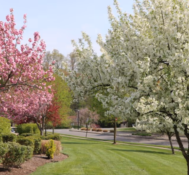 Photo 7 of Mira Vie at Brookfield | Assisted Living Belvidere