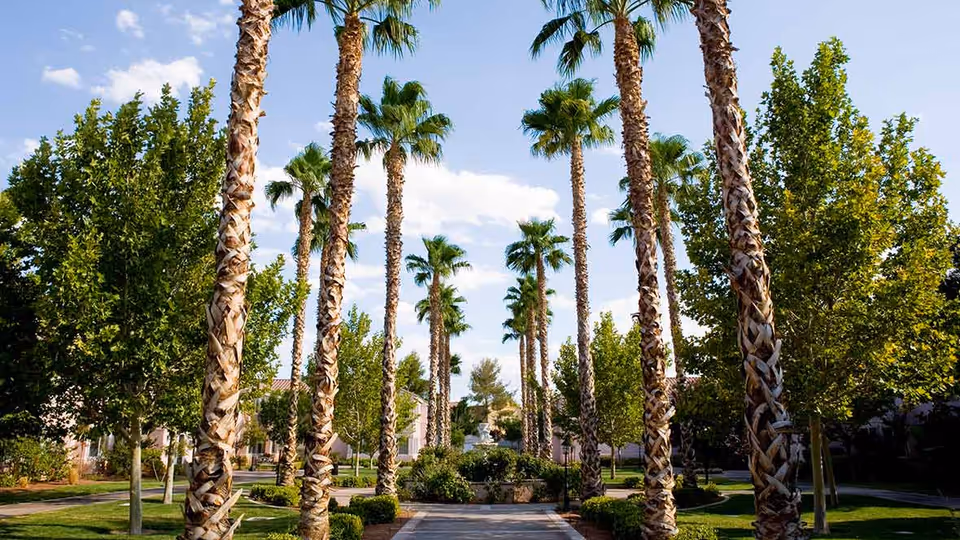 Photo 4 of Oakmont of Las Vegas