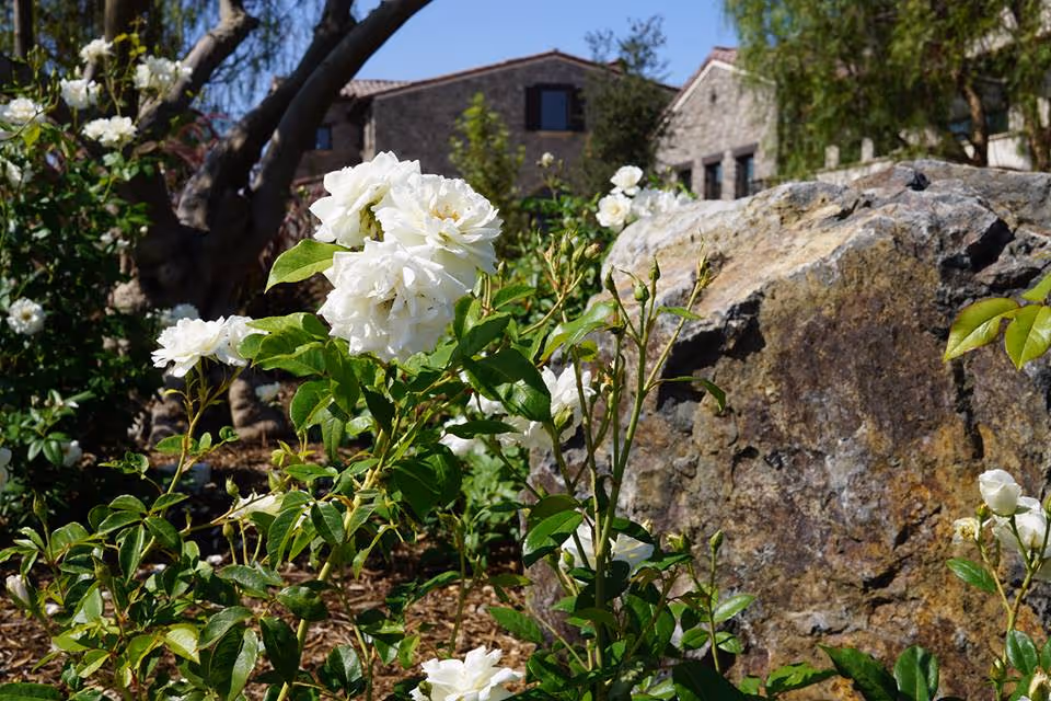 Photo 8 of Villa Lorena Senior Living