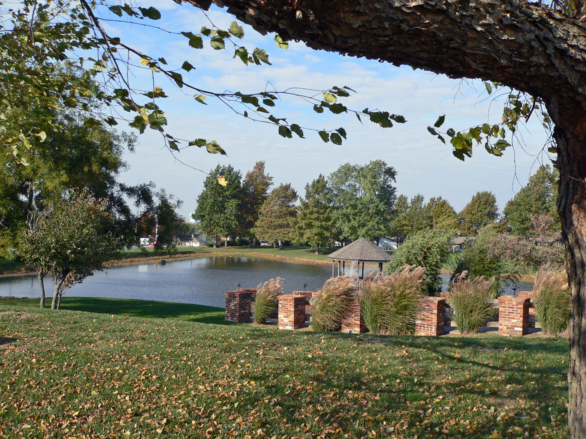 Photo 5 of Foxwood Springs Senior Living