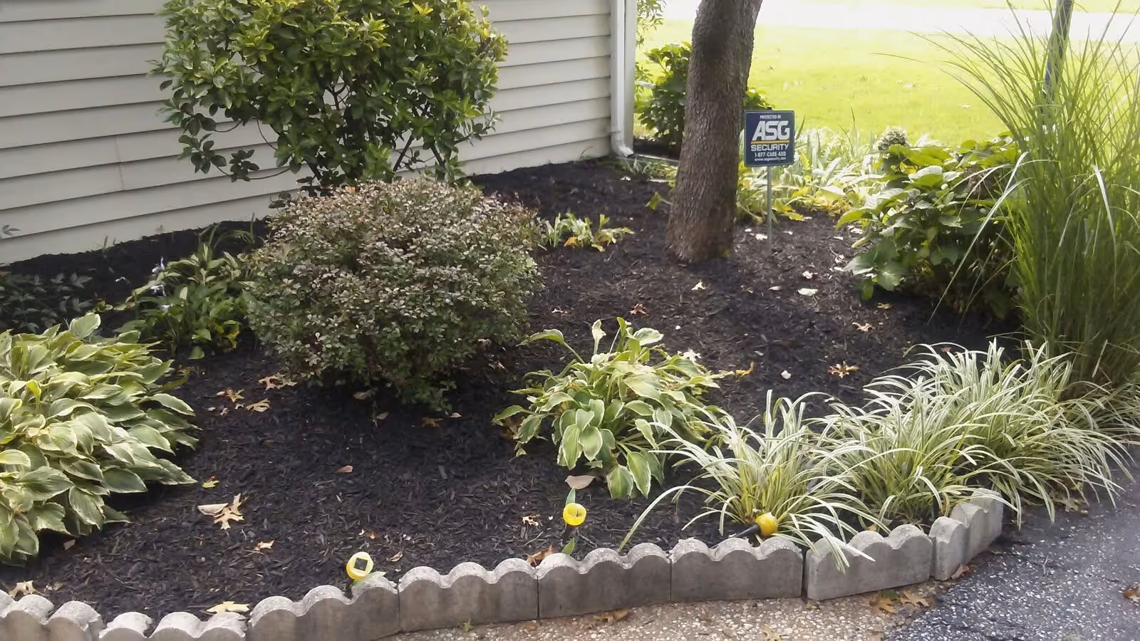 Photo 17 of Sunlife Assisted Living