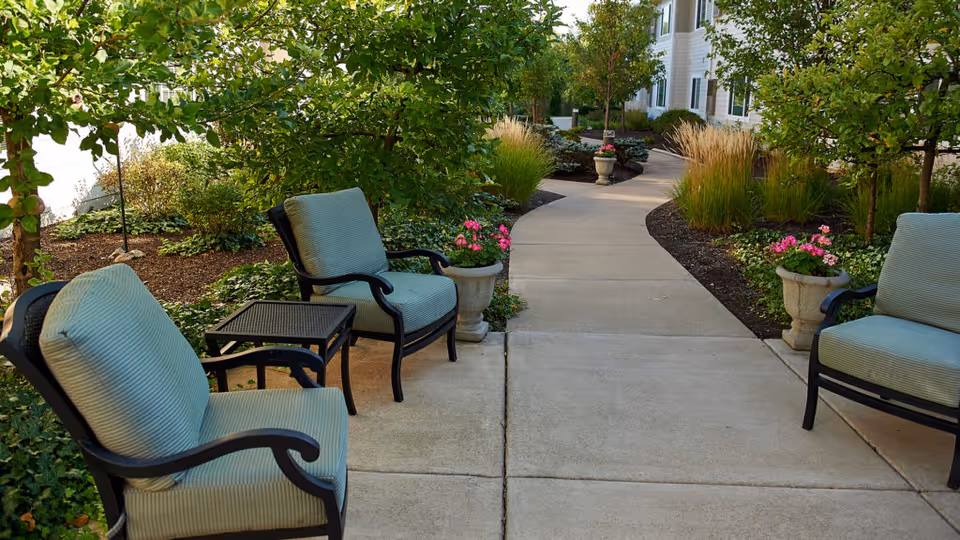 Photo 9 of Senior Star at Elmore Place