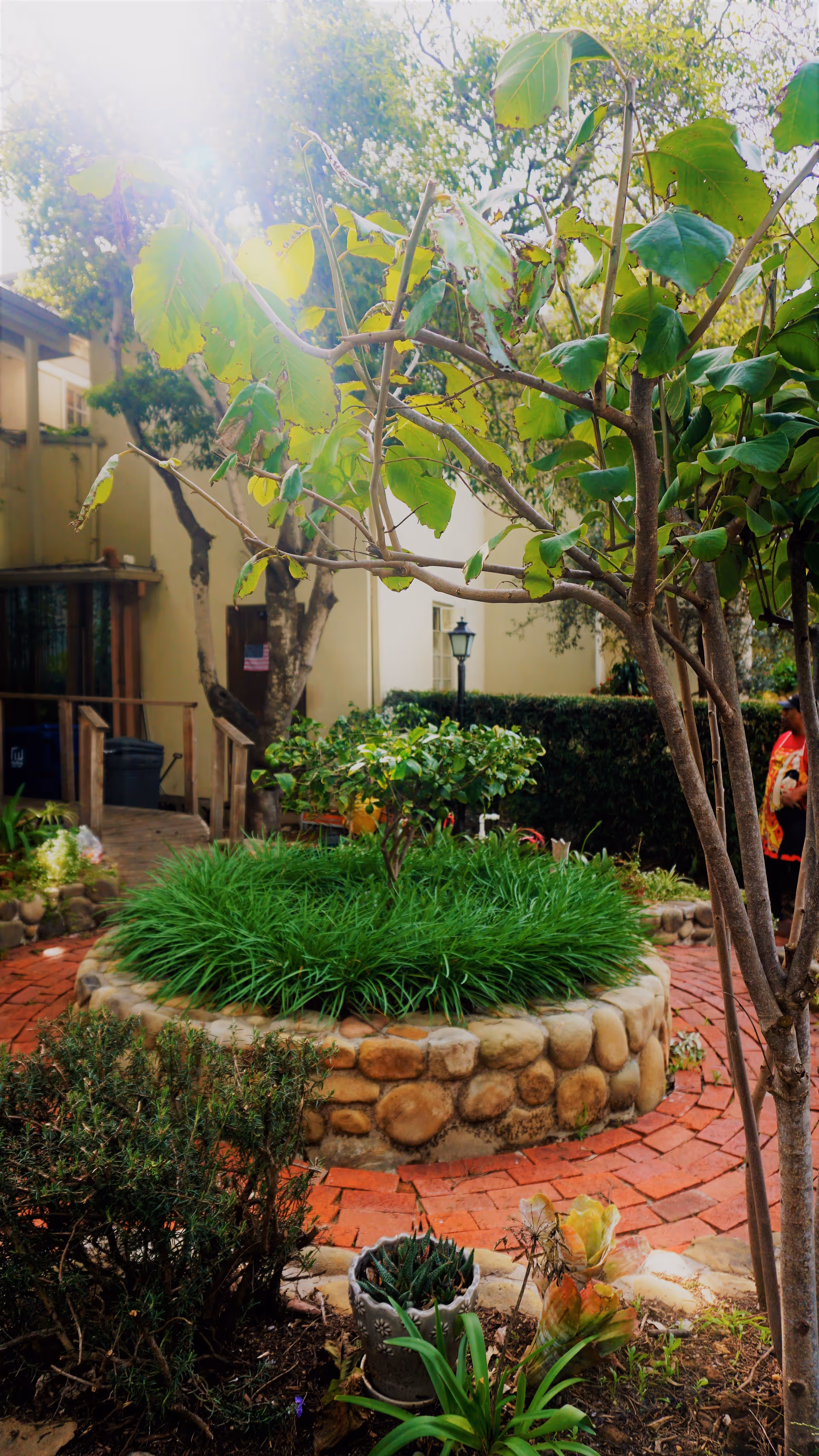 Photo 6 of Casa Dorinda