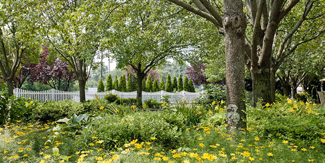 Photo of The Arbors Assisted Living Communities at Islandia East