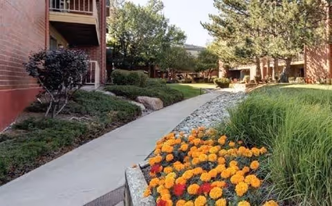 Photo 12 of Springwood