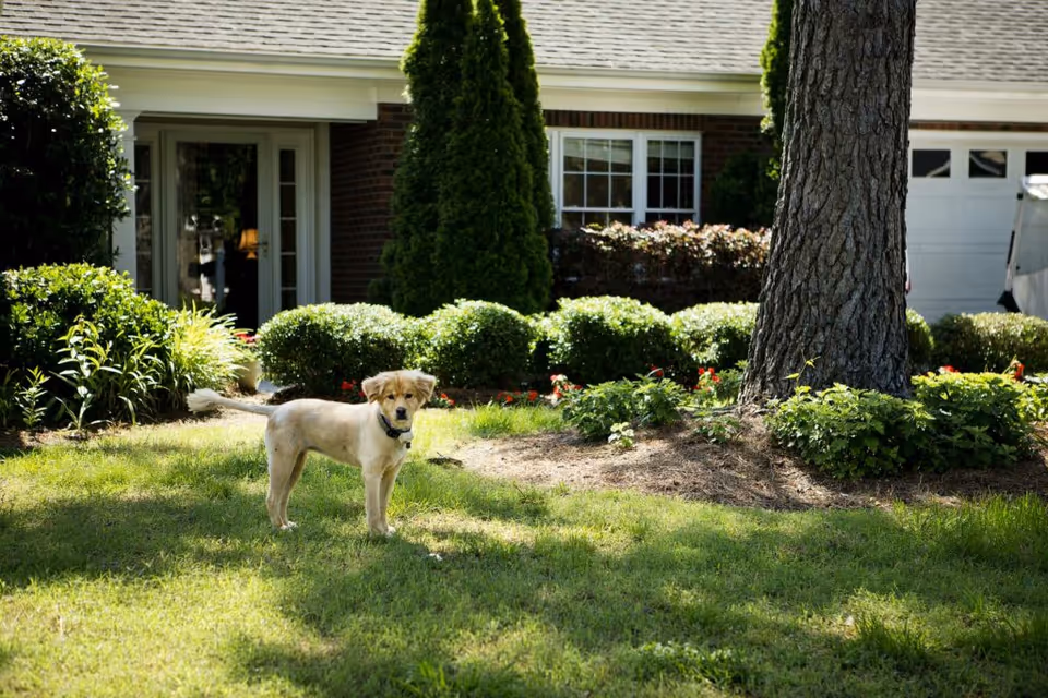 Photo 5 of Cypress Glen Retirement Community