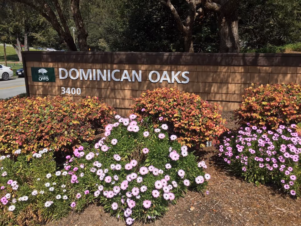 Photo 3 of Dominican Oaks