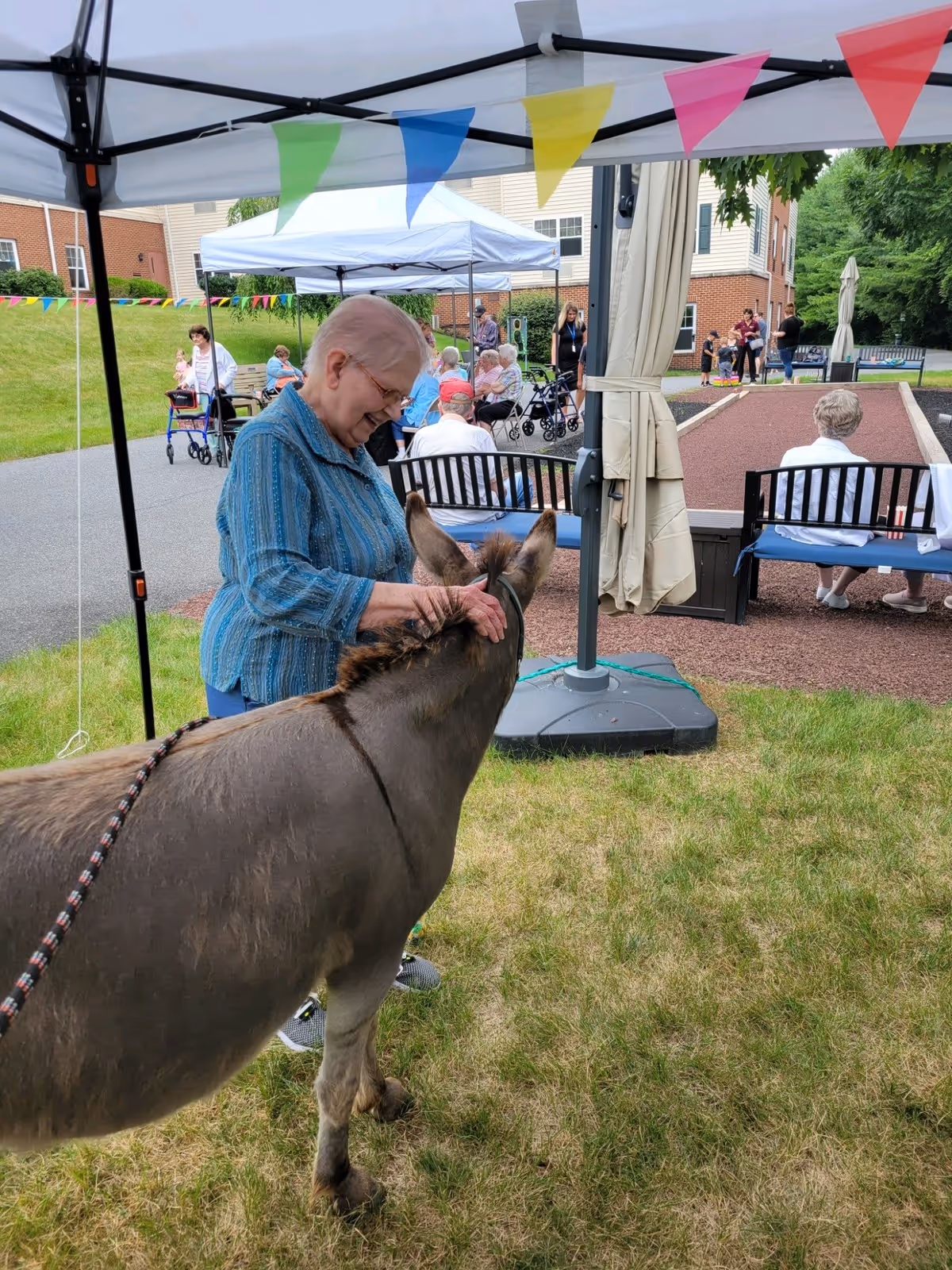 Photo 5 of Traditions of Hanover