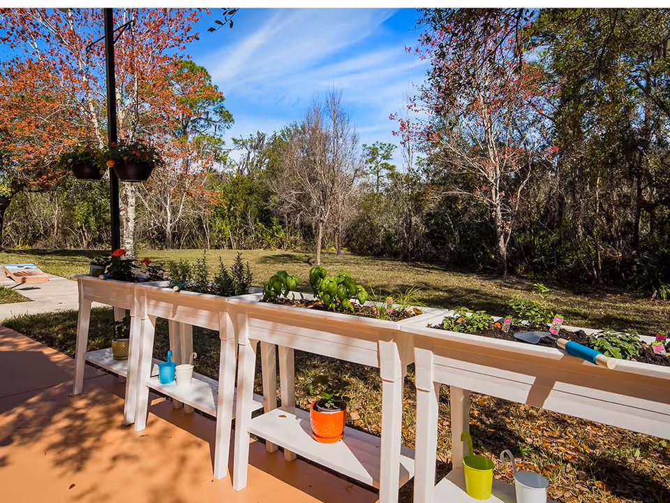 Photo 5 of The Windsor of Lakewood Ranch