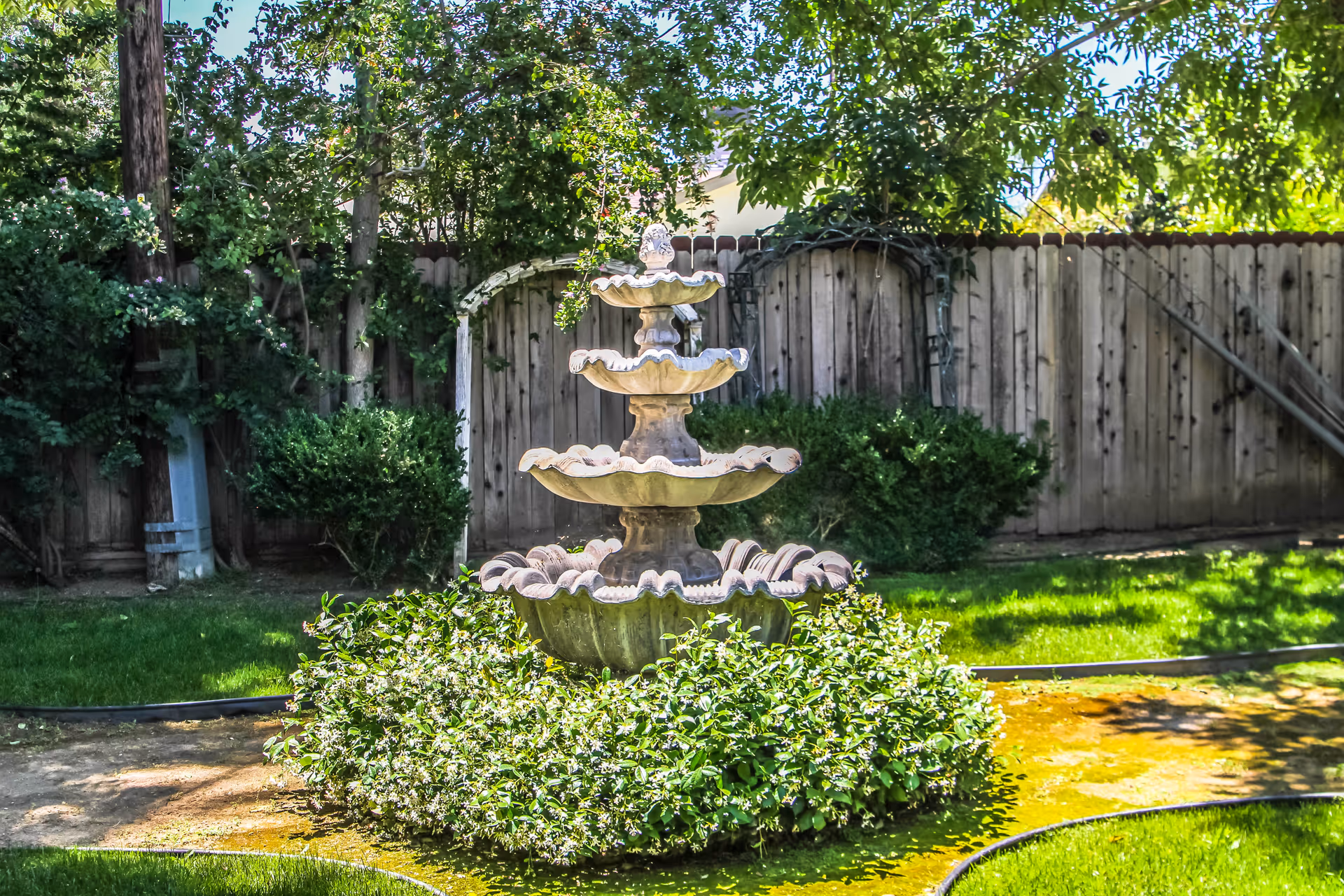 Photo 7 of Clarendon Senior Living