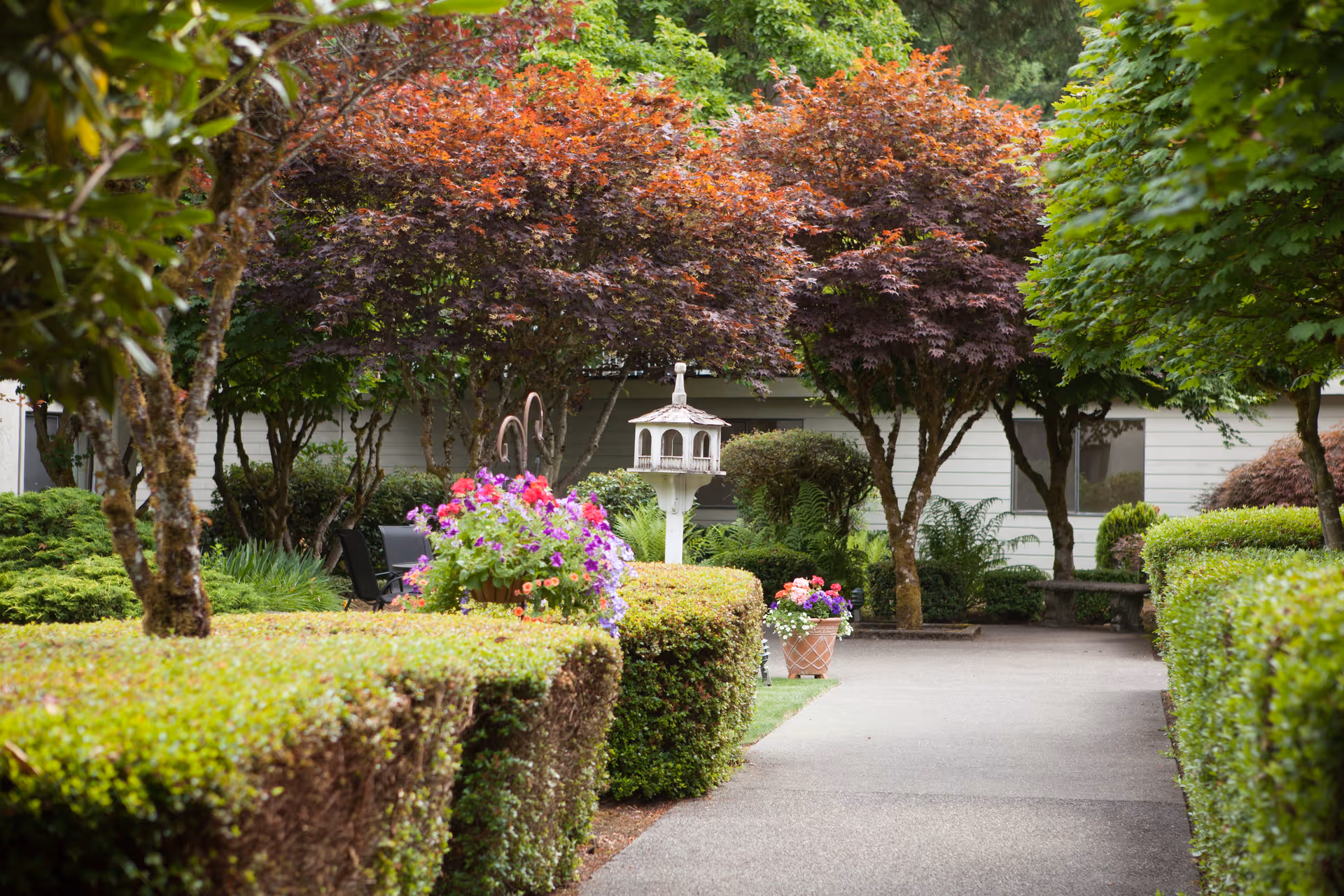 Photo 3 of Olympics West Senior Living - A Sinceri Senior Living Community