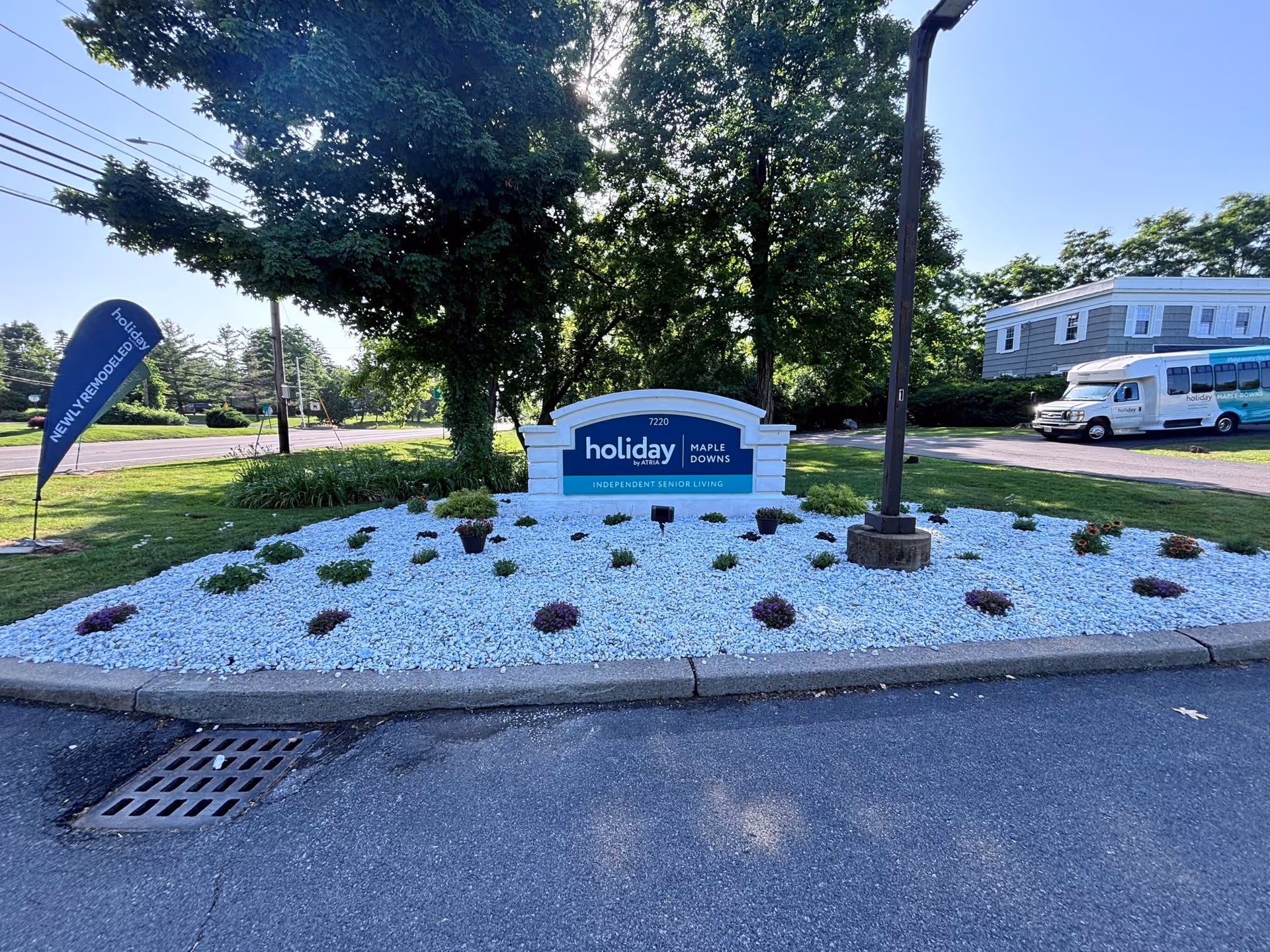 Photo of Holiday Maple Downs