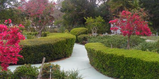Photo 4 of Bayshore Guest Home