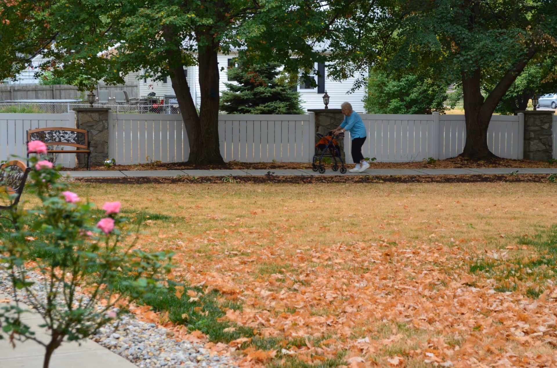 Photo 8 of Rosewalk