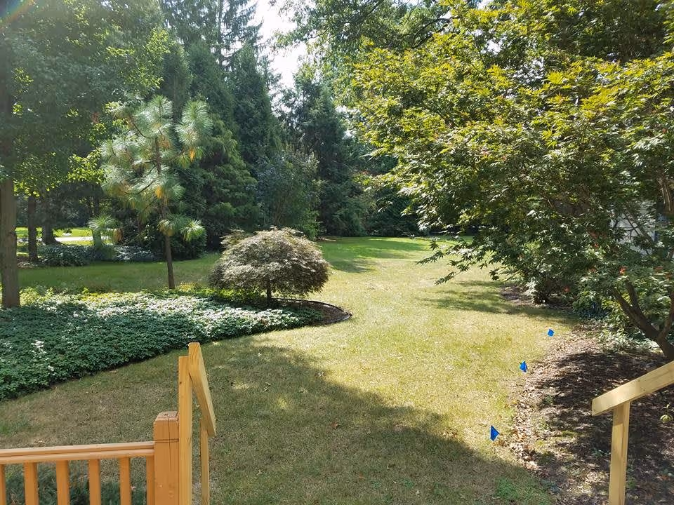 Photo 6 of Precious Memories, LLC