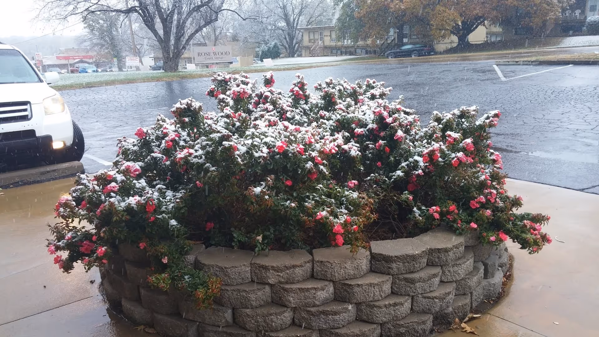 Photo 11 of Oak Creek Senior Living